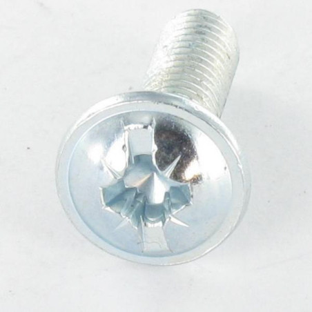 1 x Screw Mushroom Pozi And Slotted M6X10 Zinc Plated Cr3 96 Hbs Without Red Rust