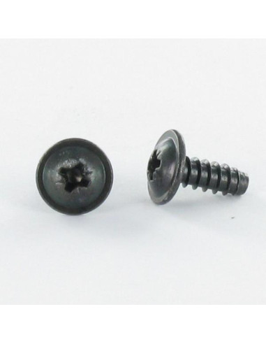1 x Thread Rolling Screw Mushroom Pozi 4.8X13...