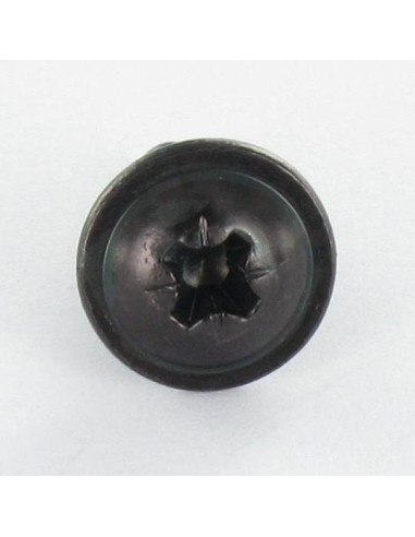 1 x Thread Rolling Screw Mushroom Pozi 4.8X13...