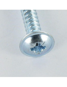 THREAD ROLLING SCREW MUSHROOM POZI 2.9X6.5 ZINC PLATED 2