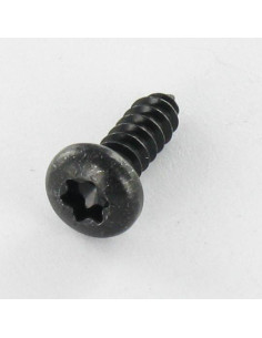 THREAD ROLLING SCREW PAN HEAD T10 2.9X13 BLACK ZINC PLATED