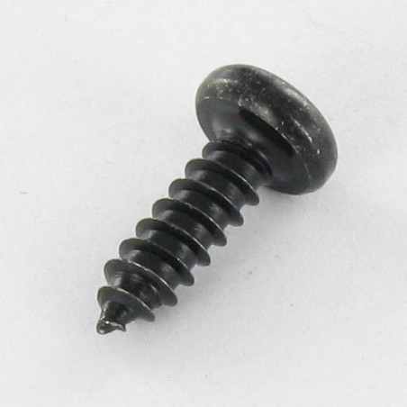 1 x THREAD ROLLING SCREW PAN HEAD T10 2.9X13 BLACK ZINC PLATED