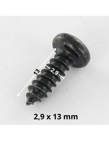 1 x THREAD ROLLING SCREW PAN HEAD T10 2.9X13...
