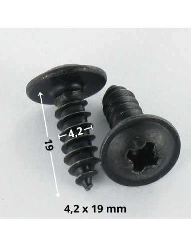 1 x THREAD ROLLING SCREW MUSHROOM POZI 4.2X19...