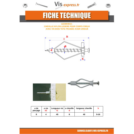 1 x Plug Nylon 8X40 With Wood Screws Countersunk Head 4X45