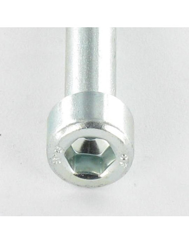 1 x Machine Screw Socket Head M5X100 Thread...