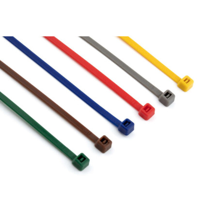 1 x Hose clamp Nylon Blue 2.5X100