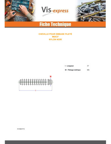1 x Plug Threaded Linch Pin Flange M6X37 Nylon...