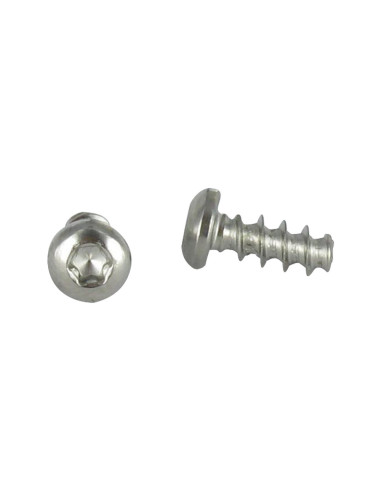 1 x Screw For Plastic wide domed head 4X14 T20...