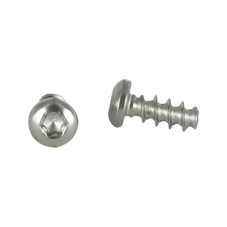 1 x Screw For Plastic wide domed head 5X30 T20 Stainless Steel A2 400HBSSRR