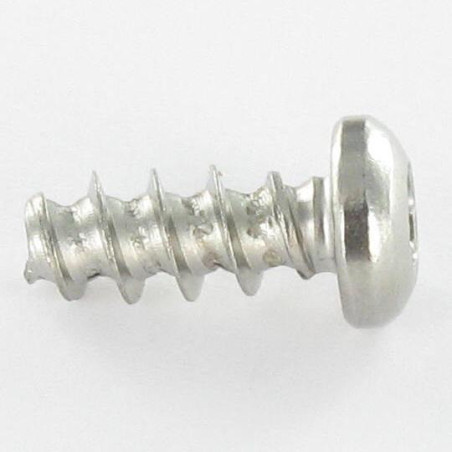 1 x Screw For Plastic wide domed head 5X30 T20 Stainless Steel A2 400HBSSRR