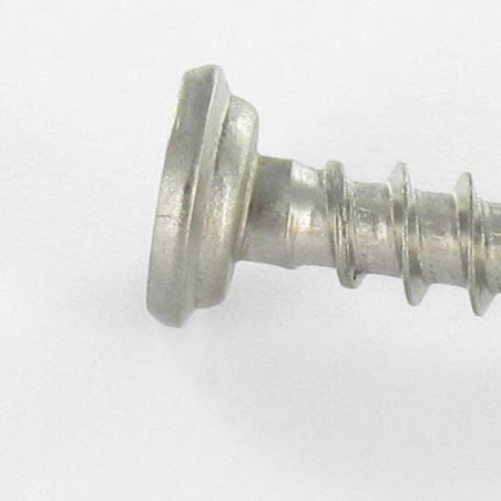 1 x Screw For Plastic Stainless Steel A2 Pan Head Phillips 5X46