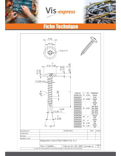 Chipboard Screw Mushroom Pozi PZ2 4X60 Thread Length: 40... 2