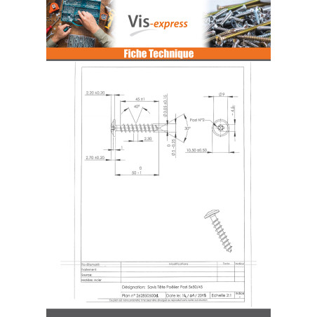 1 x Chipboard Screw Mushroom Pozi N°2 5X50 Thread Length: 45 Steel