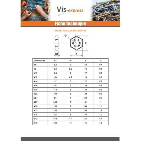 1 x Nut PAL M20 Steel