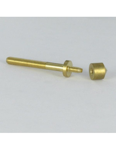 1 x Screw With Collar Brass 8X40 With Cover Cap D8