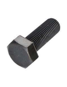 Machine Screw Hexagonal Head M24X50 Class 10.9 Steel