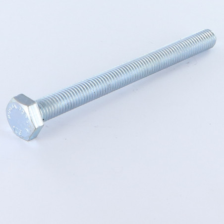 1 x Machine Screw Hexagonal Head M12X100 Class 10.9 Zinc Plated