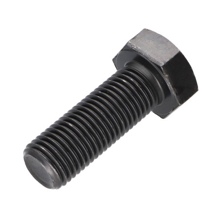 1 x Machine Screw Hexagonal Head M22X60 Class 10.9 Steel