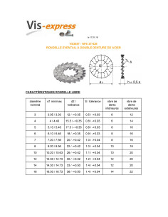 Serrated Lock Washer Double Toothed M12 Zinc Plated 2