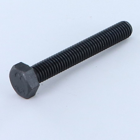 1 x Machine Screw Hexagonal Head M10X65 Class 8.8 Steel