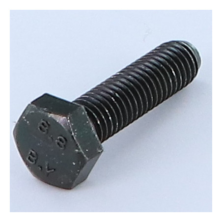 1 x Machine Screw Hexagonal Head M6X30 Class 8.8 Black Zinc Plated