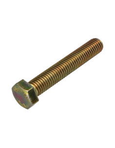 Machine Screw Hexagonal Head M12X70 Class 8.8 Yellow Zinc