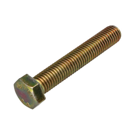 1 x Machine Screw Hexagonal Head M12X70 Class 8.8 Yellow Zinc