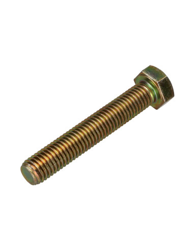 1 x Machine Screw Hexagonal Head M12X70 Class...