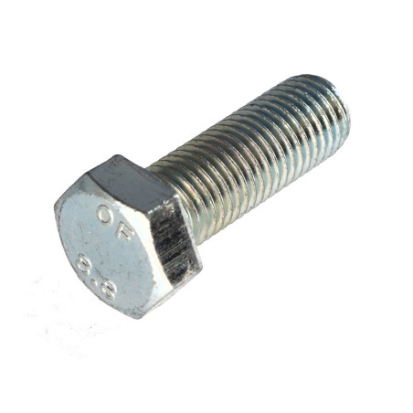 1 x Machine Screw Hexagonal Head M20X55 Class 8.8 Zinc Plated