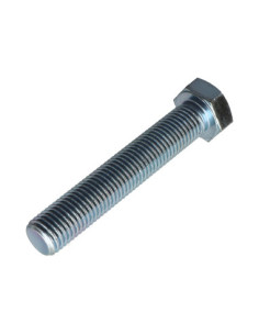 Machine Screw Hexagonal Head M20X90 Class 8.8 Zinc Plated 2