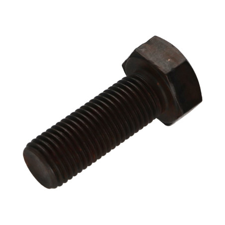 1 x Machine Screw Hexagonal Head M22X60 Class 8.8 Steel