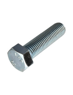 Machine Screw Hexagonal Head M24X90 Class 8.8 Zinc Plated