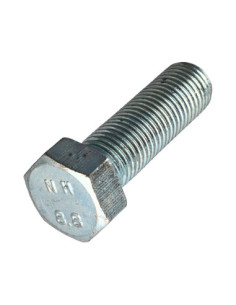 Machine Screw Hexagonal Head M24X80 Class 8.8 Zinc Plated
