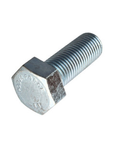 Machine Screw Hexagonal Head M30X70 Class 8.8 Zinc Plated