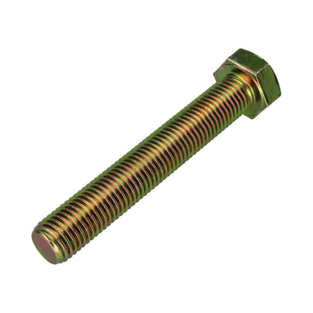 1 x Machine Screw Hexagonal Head M20X100 Class 8.8 Yellow Zinc