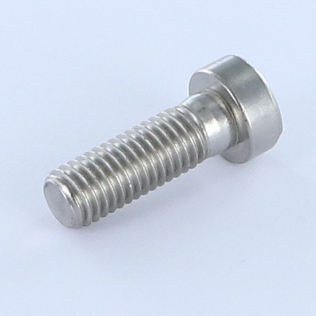 1 x Machine Screw Socket Head LOW/HOLE Hexagon Socket 5 Stainless Steel A2 M8X10