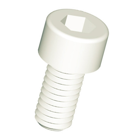 1 x Machine Screw Socket Head Hexagon Socket 2.5 M3X8 natural nylon micro screw