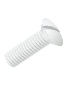 Machine Screw Countersunk Head Slotted M8X60 natural nylon