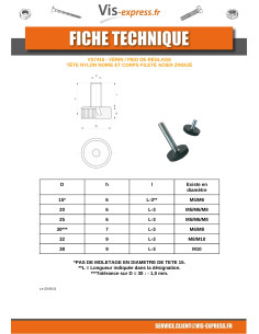 Adjustable leveling foot M5X40 Head Diameter: 20 2