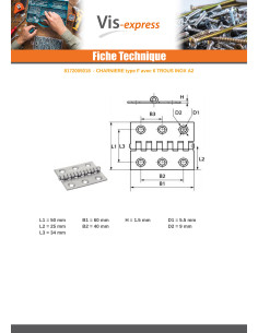 Hinge Type Slotted 6 Hole Stainless Steel A2 50X60 2