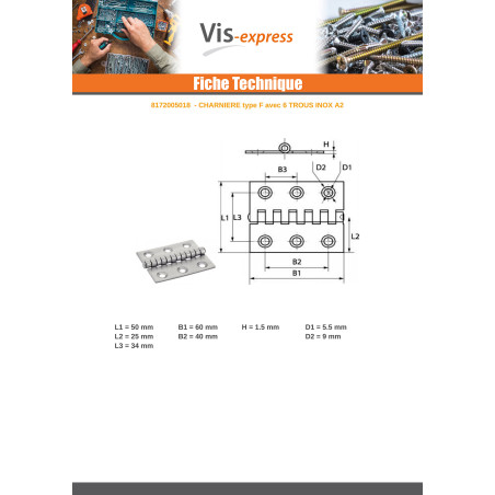1 x Hinge Type Slotted 6 Hole Stainless Steel A2 50X60