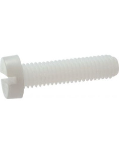 Machine Screw Large Pan Head Slotted M10X8 natural nylon
