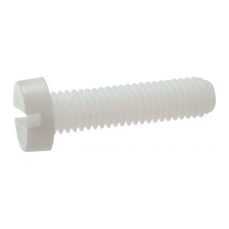 1 x Machine Screw Large Pan Head Slotted M12X60 natural nylon