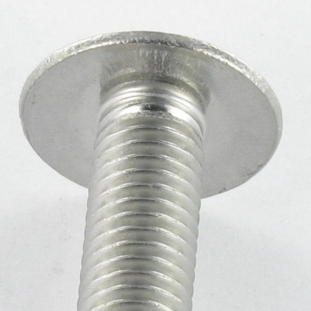 1 x Screw Mushroom Slotted Stainless Steel A2 M4X12