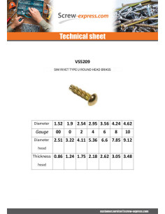 Hammer Drive Screws Type U Round Head Brass Plated Steel... 2