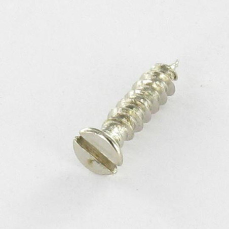 1 x Chipboard Screw Countersunk Head Slotted 3X14 Head Diameter: 5 Nickel Plated micro screw