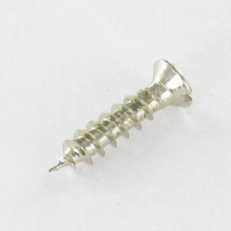 1 x Chipboard Screw Countersunk Head Slotted 3X14 Head Diameter: 5 Nickel Plated micro screw