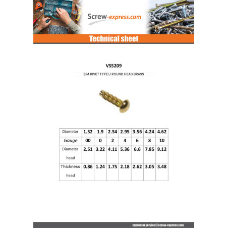 1 x Hammer Drive Screws Type U Round Head Brass Plated Steel 2.95X 1/2