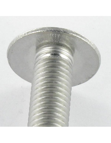 1 x Screw Mushroom Slotted M4X30 Stainless...